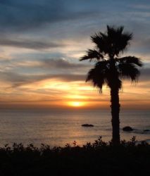 Laguna Beach Sunset! As good as any tropical paradise! by John Campbell 